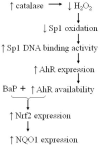 Fig. 11