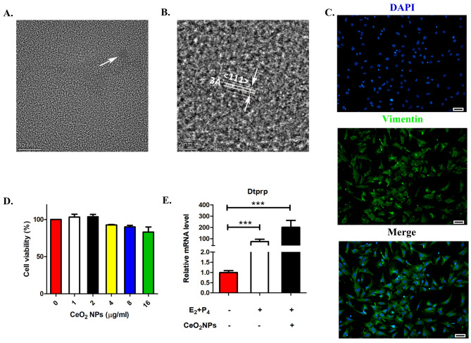 Decidual Derived Exosomal MiR 99a 5p Targets Ppp2r5a To Inhibit