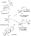 Scheme 2