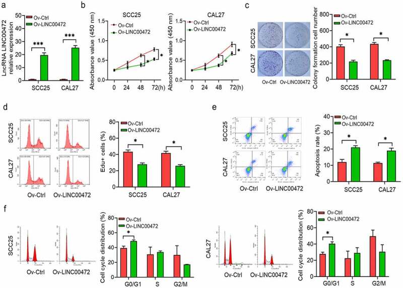 Linc Suppresses Oral Squamous Cell Carcinoma Growth By Targeting