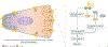 Figure 2 |