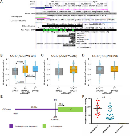 A Genomewide Association Study Identifies Novel Association Between