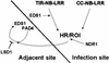 Figure 6.