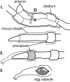 FIG. 2.