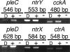 FIG. 2.