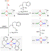 Figure 28.
