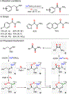 Figure 117.