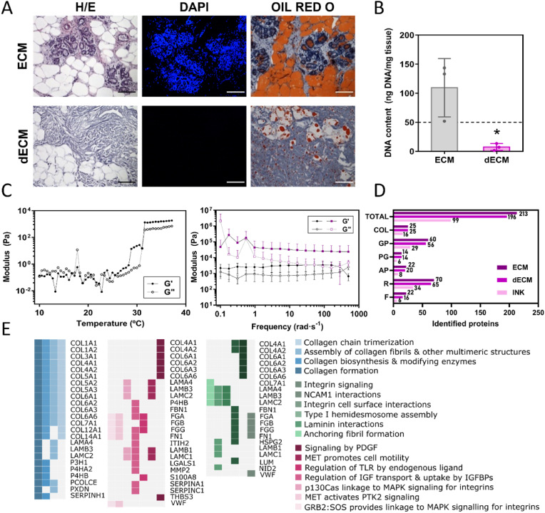 D Bioprinted Breast Tumor Stroma Models For Pre Clinical Drug Testing