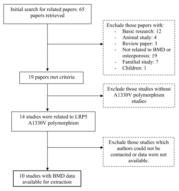 Association Between LRP5 Polymorphism And Bone Mineral Density A