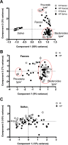 FIG 1