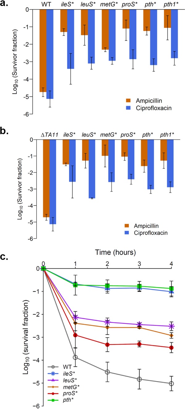 Extreme Antibiotic Persistence Via Heterogeneity Generating Mutations