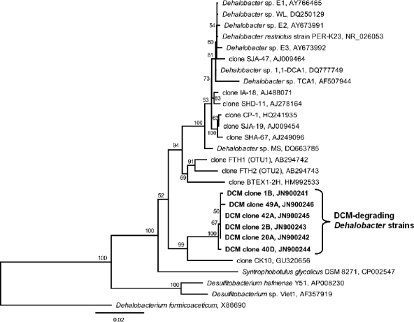 Dichloromethane Fermentation By A Dehalobacter Sp In An Enrichment