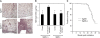 <b>Figure 2.</b>