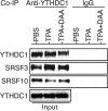 FIG 10