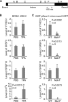 FIG 13