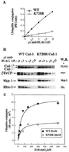 FIG. 5