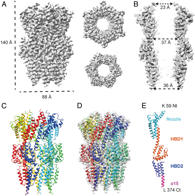 Assisted Assembly Of Bacteriophage T Core Components For Genome