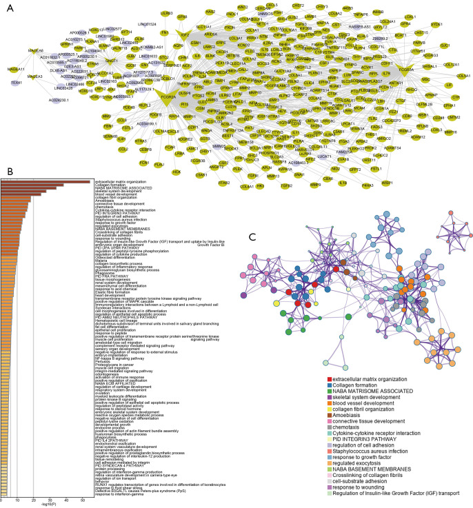 Development Of A Prognostic Nomogram Based On An Eight Gene Signature