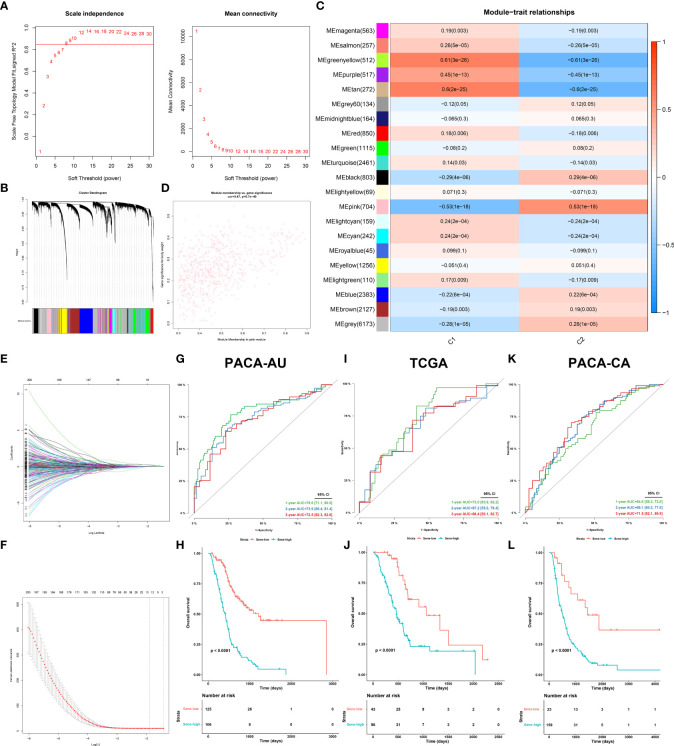 Proteasome Dependent Senescent Tumor Cells Mediate Immunosuppression