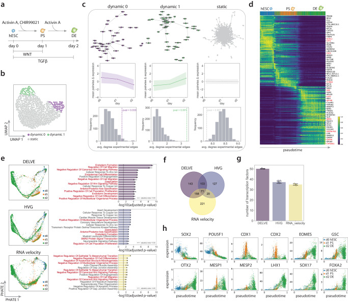 Delve Feature Selection For Preserving Biological Trajectories In