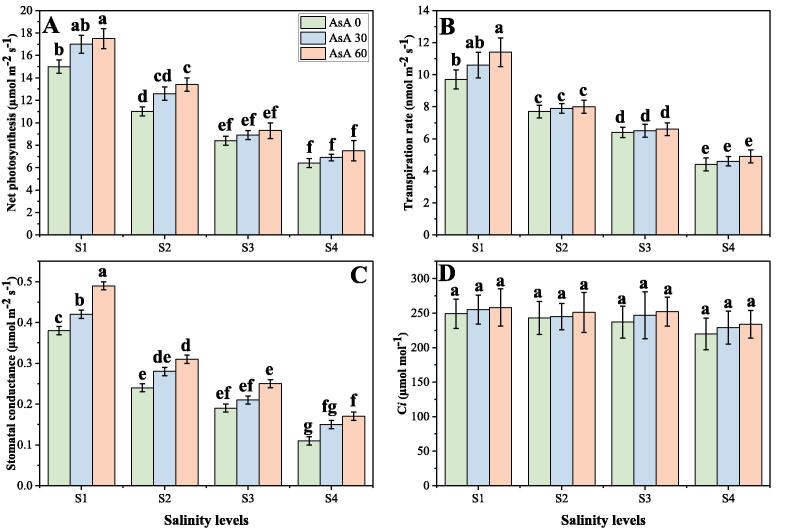 Foliar Application Of Ascorbic Acid Enhances Salinity Stress Tolerance