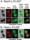 FIG 3