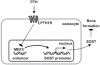 FIG. 7