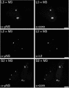 FIG. 2.