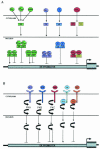 FIG. 2.