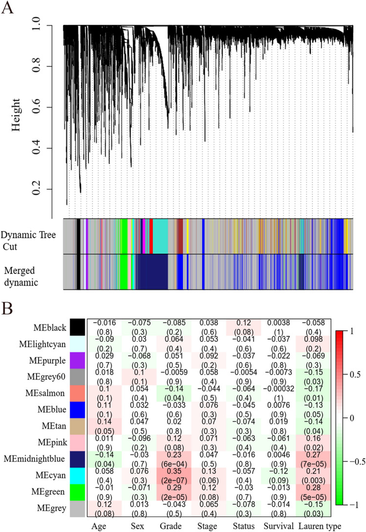 Identified VCAM1 As Prognostic Gene In Gastric Cancer By Co Expression