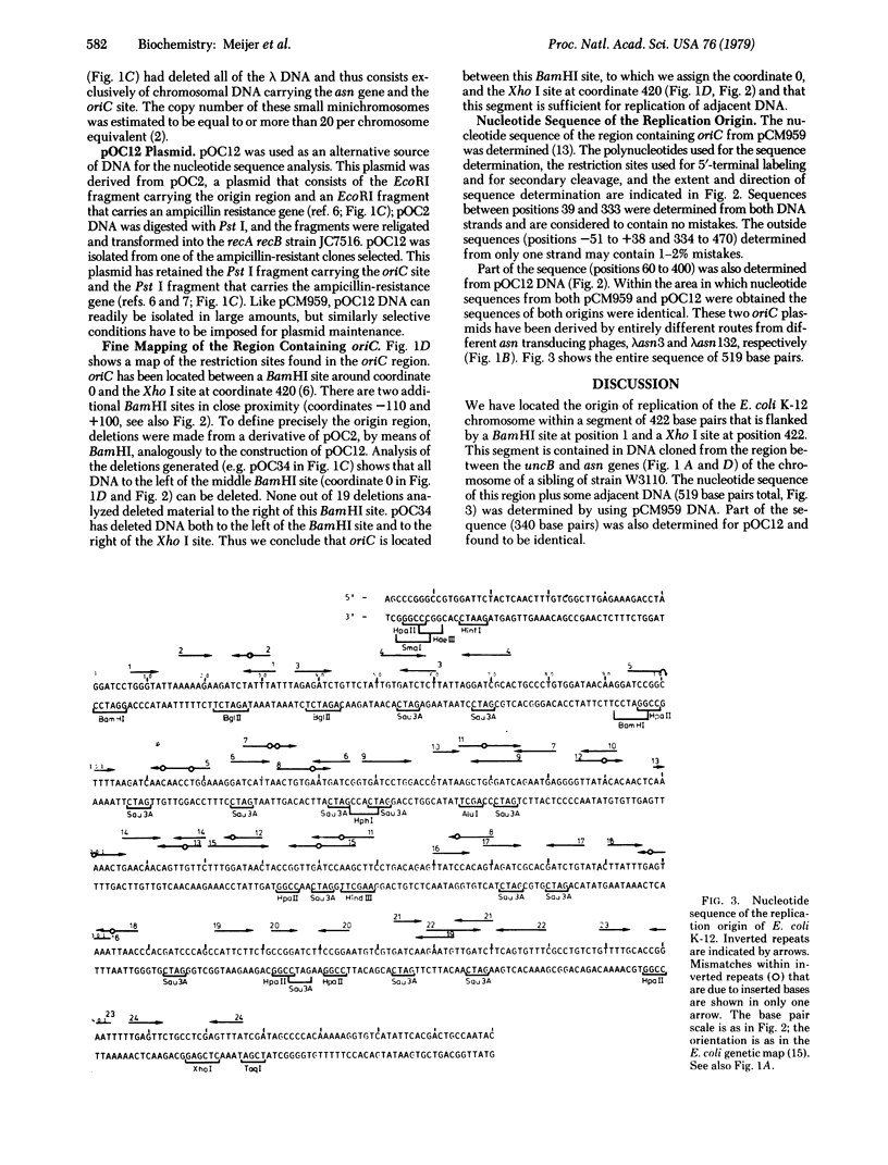 Nucleotide Sequence Of The Origin Of Replication Of The Escherichia