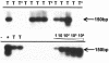 FIG. 5.