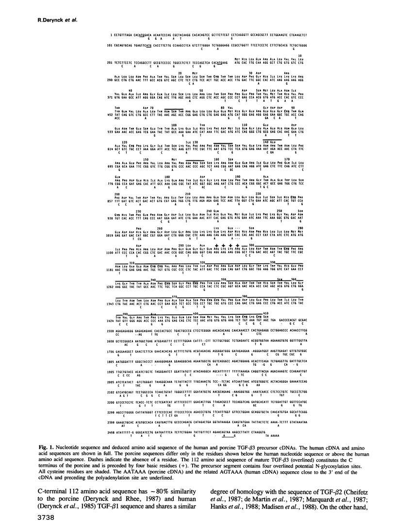 A New Type Of Transforming Growth Factor Beta Tgf Beta Pmc