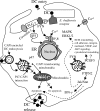 FIG. 8.