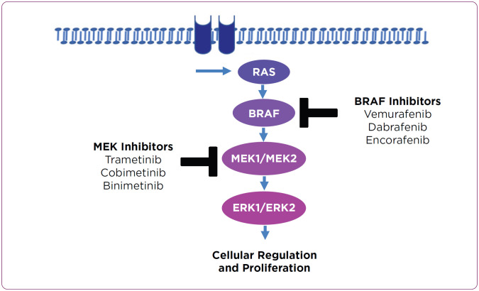 Encorafenib And Binimetinib Combination Therapy In Metastatic Melanoma