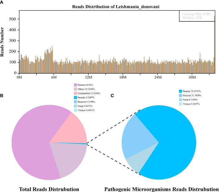 Metagenomic Analysis Identifying A Rare Leishmania Infection In An