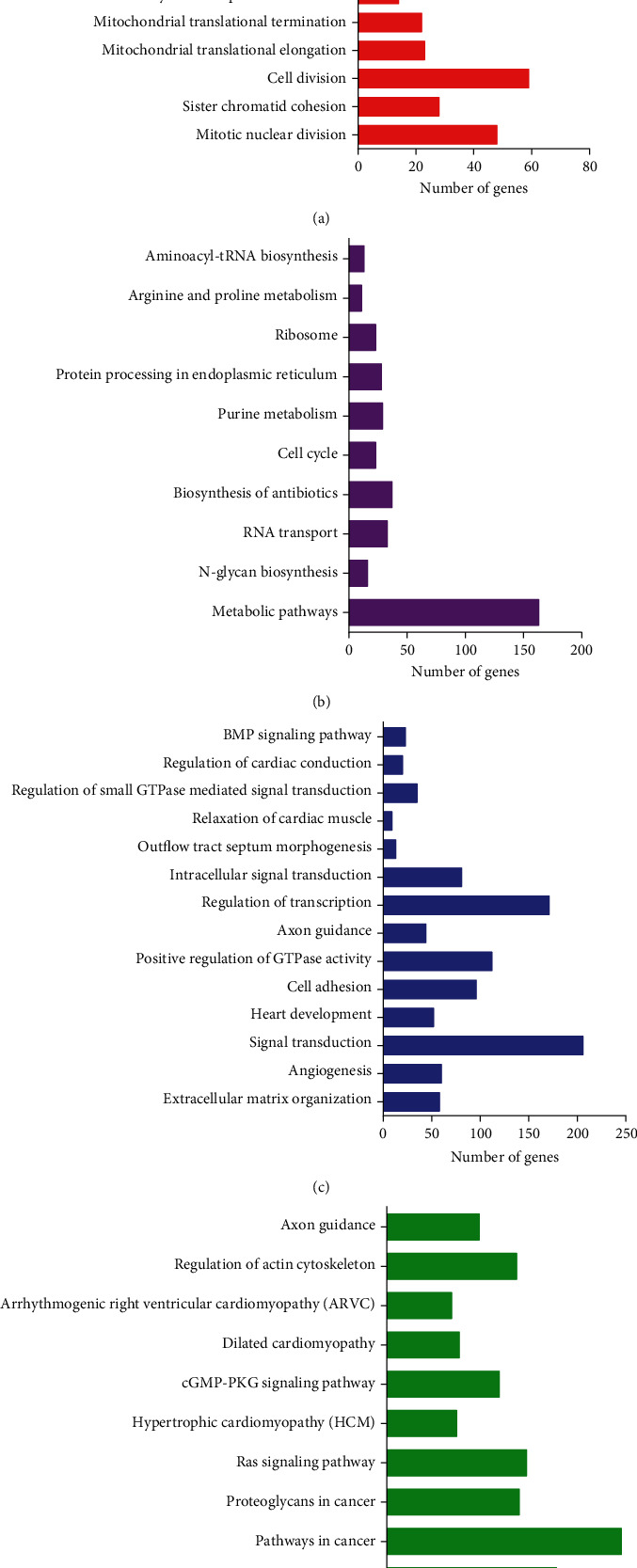 Gene Expression Analysis Reveals Key Genes And Signalings Associated