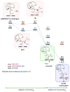 Scheme 6