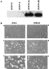 FIG. 8