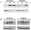 FIG. 9