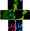 FIG. 4