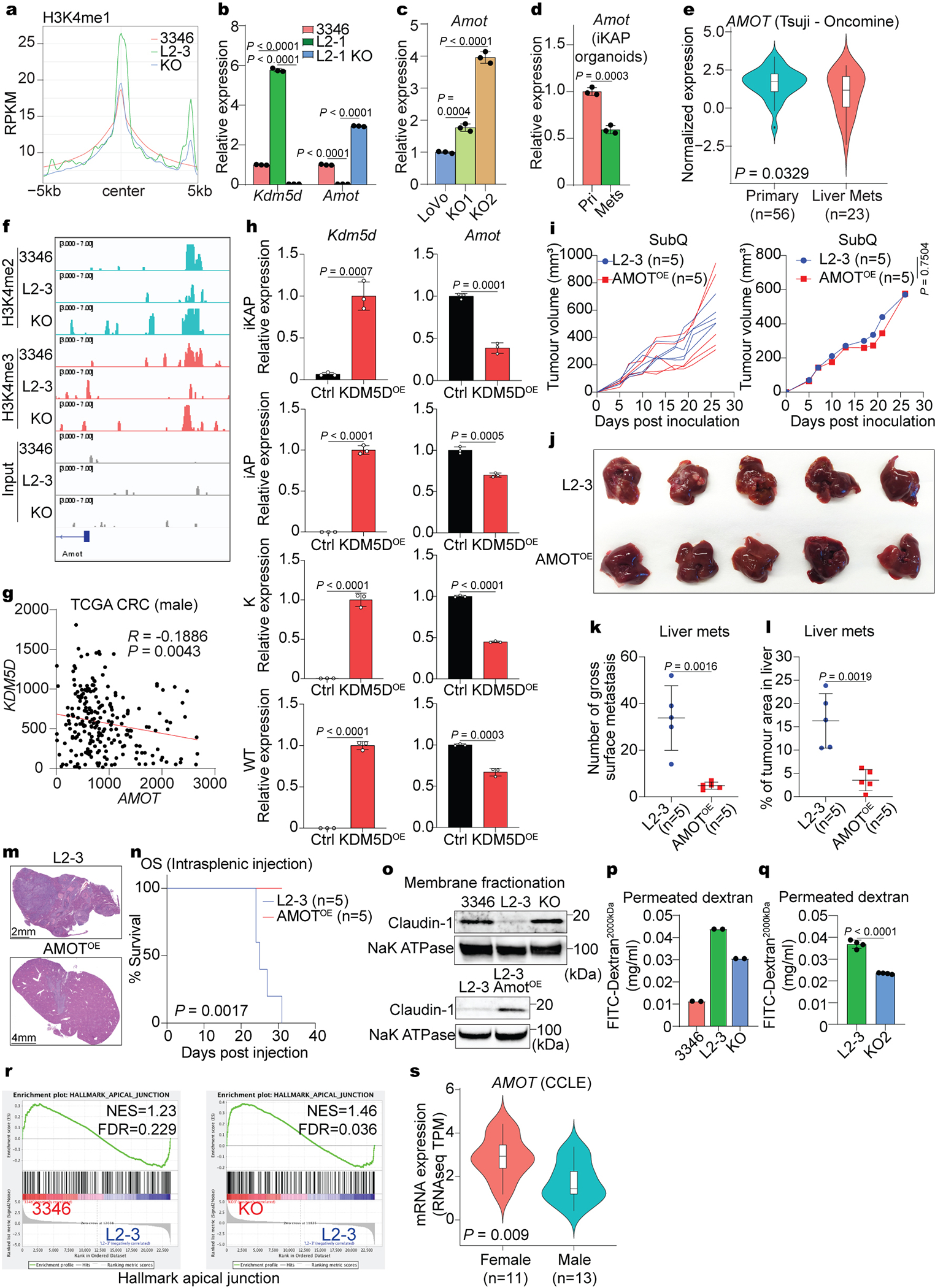 Histone Demethylase KDM5D Upregulation Drives Sex Differences In Colon