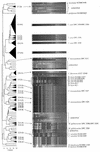 FIG. 5.