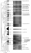 FIG. 4.
