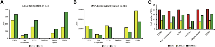 The Roles Of Dna Methylation And Hydroxymethylation At Short