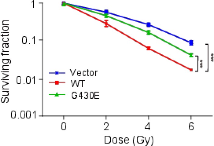 Single Cell Whole Genome Sequencing Reveals That Nfkb Mutation Affects