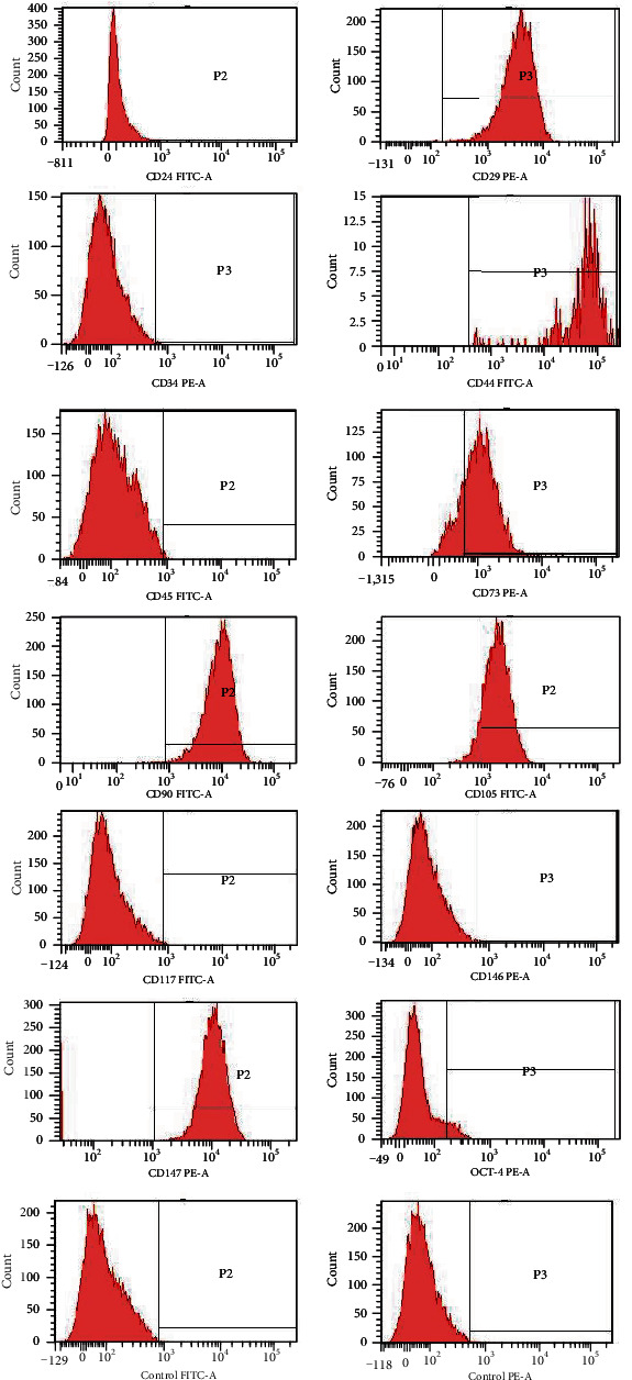 Isolation And Characterization Of Human Synovial Fluid Derived