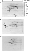 FIG. 4.