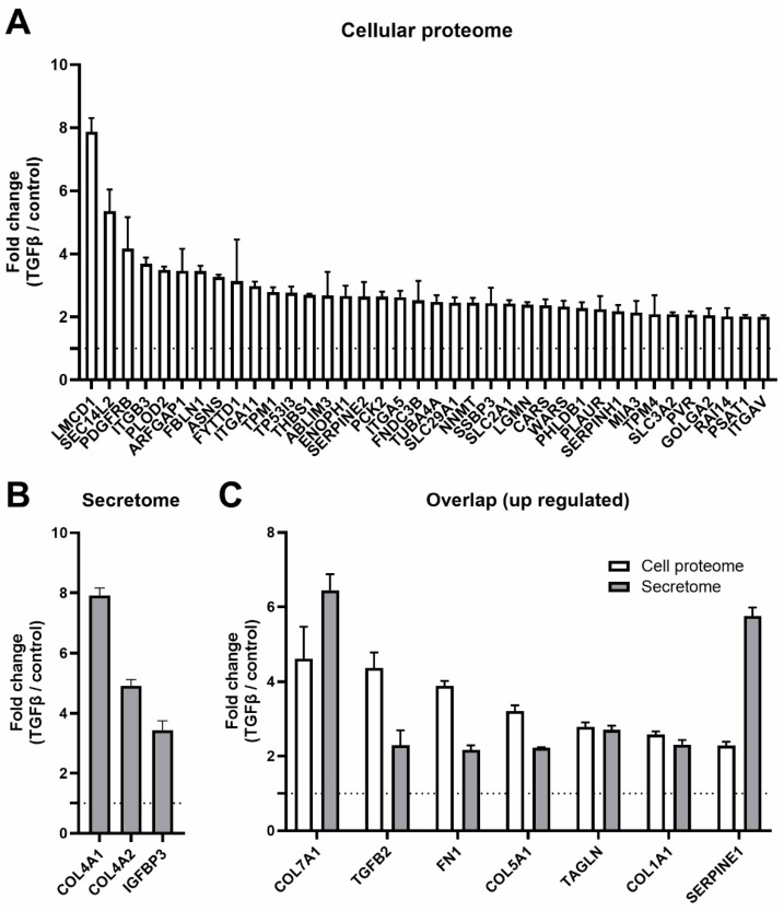 TGF β2 Induces Ribosome Activity Alters Ribosome Composition and