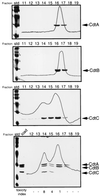 FIG. 6